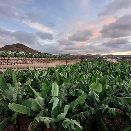 Rk Hacienda La Rekompensa Arucas Esterno foto