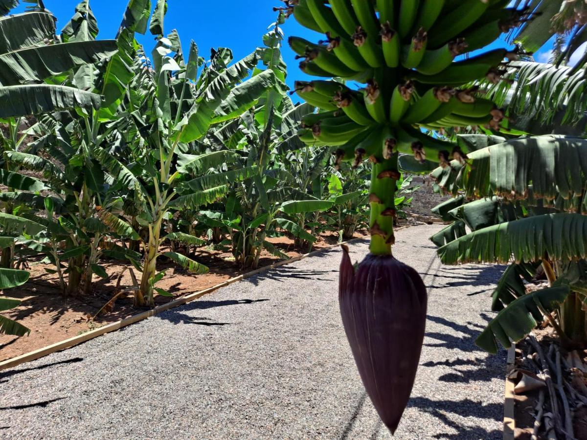 Rk Hacienda La Rekompensa Arucas Esterno foto