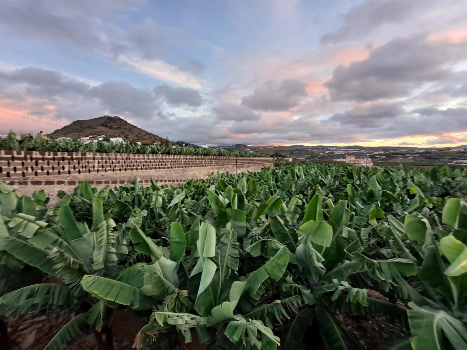 Rk Hacienda La Rekompensa Villa Arucas Esterno foto